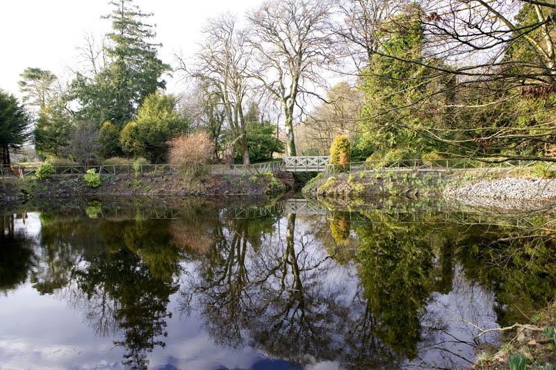 GARDENS FOR PHOTOGRAPHS