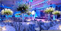 Decor & Event Styling