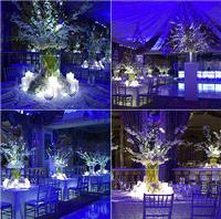 Decor & Event Styling