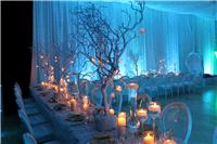 Decor & Event Styling