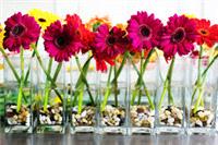 Decor & Event Styling