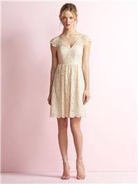 https://www.eudances.com/en/jenny-yoo/3439-jenny-yoo-jy509-knee-length-lace-bridesmaid-dress.html