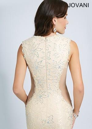 My Stuff, https://www.promsome.com/en/jovani/3976-jovani-93138-fitted-lace-dress.html