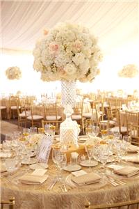 Decor & Event Styling