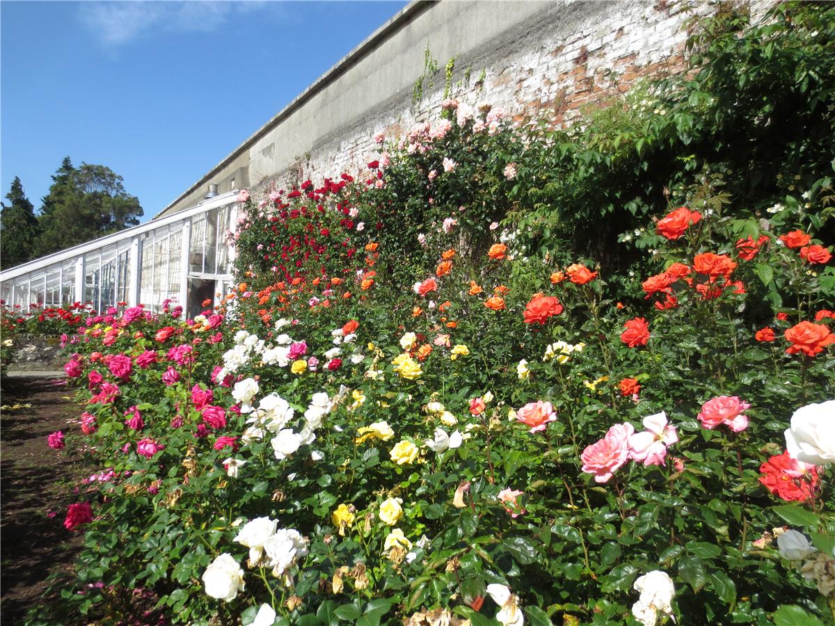 Summer Weddings at Powerscourt Estate