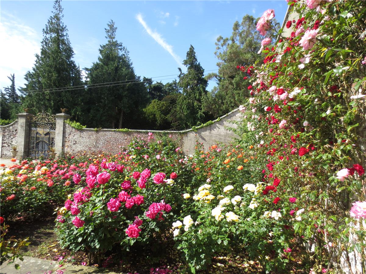 Summer Weddings at Powerscourt Estate