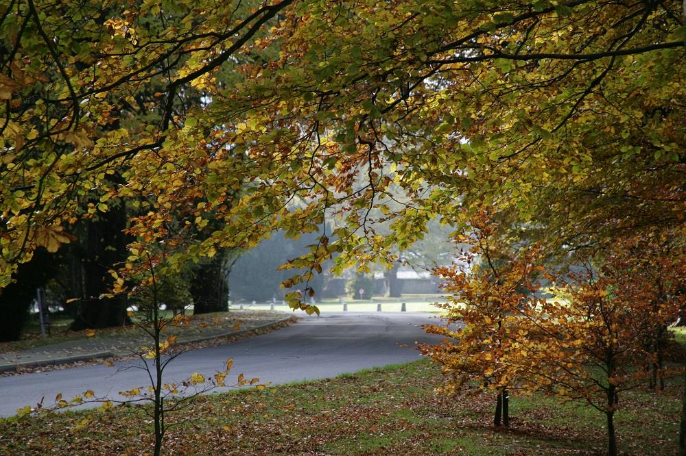 Autumn Weddings