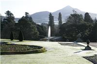 Wedding Venues