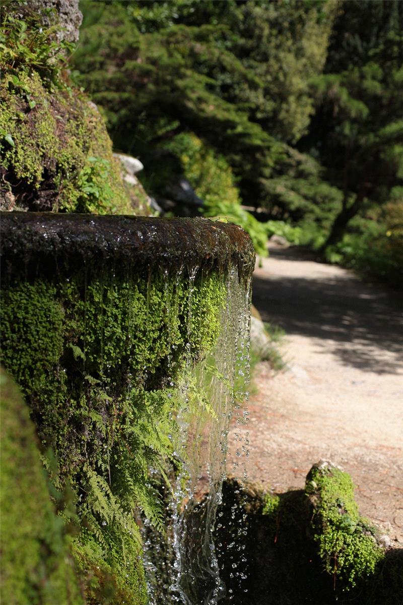 Summer Weddings at Powerscourt Estate