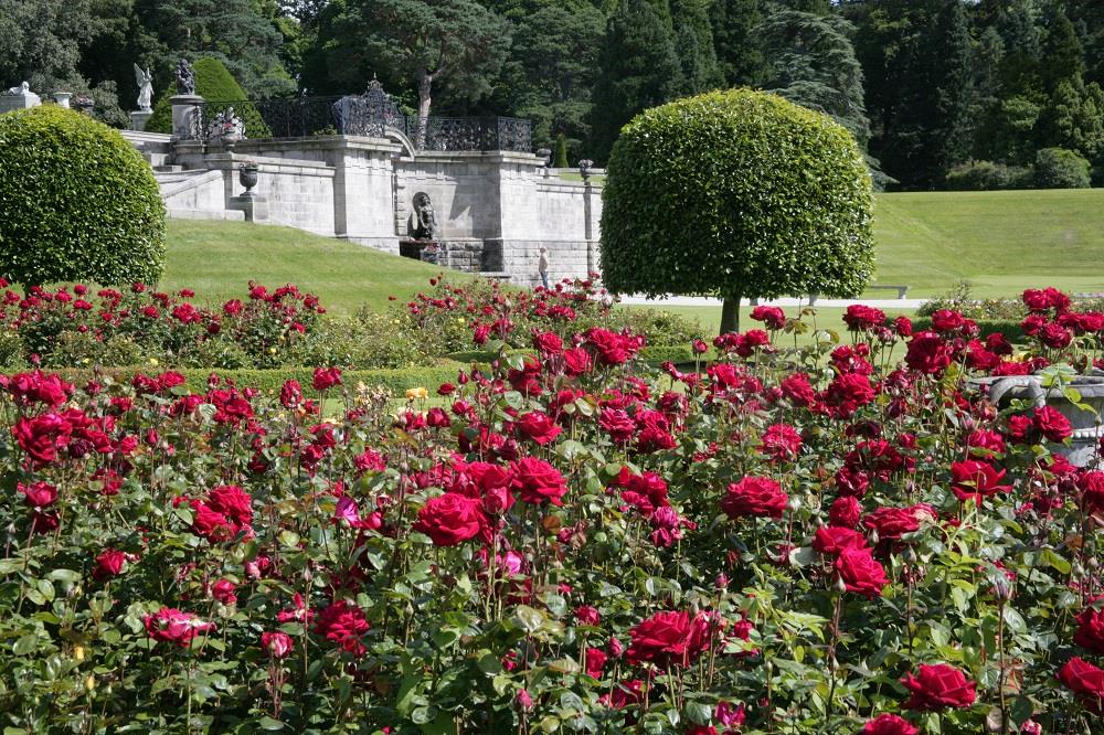 Summer Weddings at Powerscourt Estate