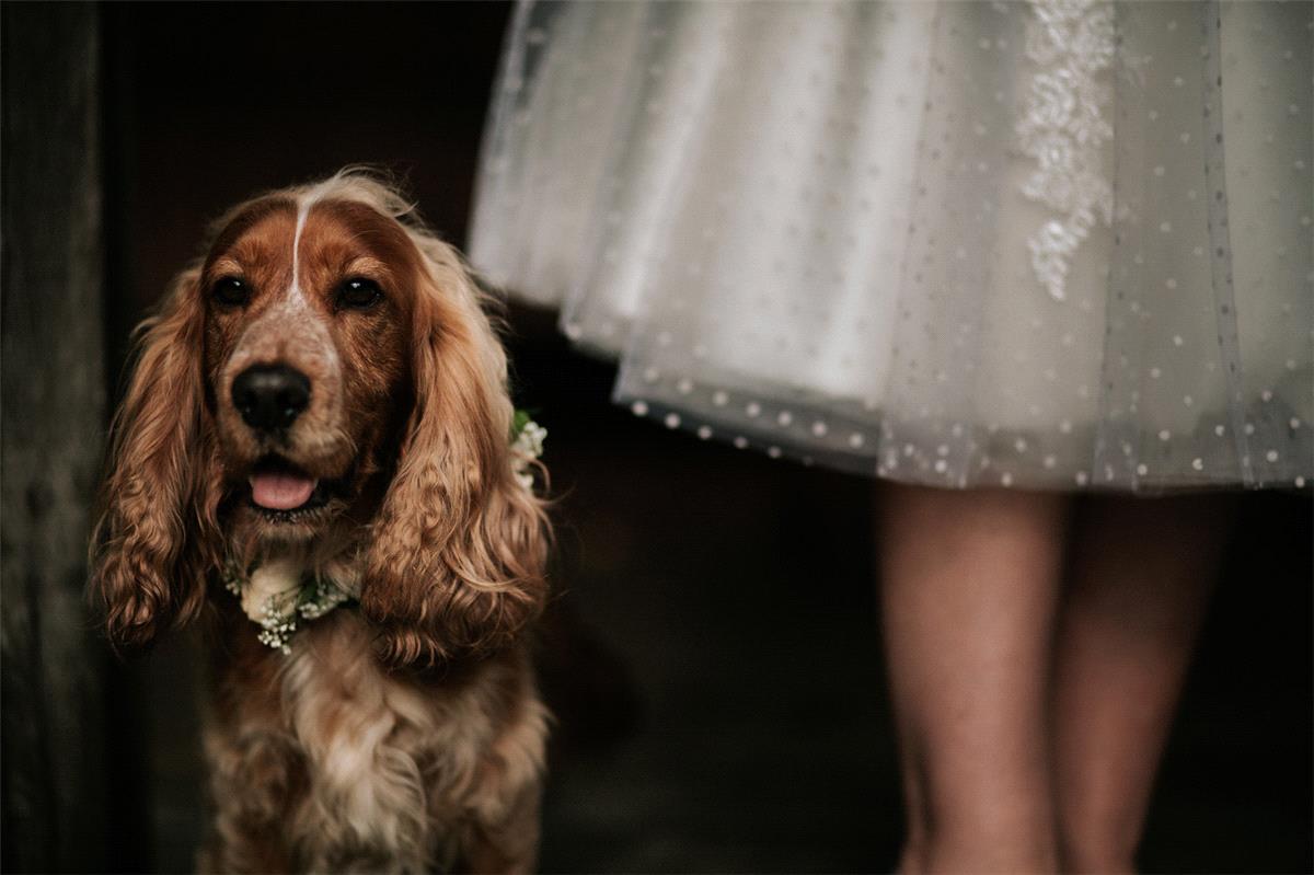 Real Weddings at Bovey Castle