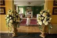 Wedding Venues