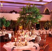 Wedding Venues